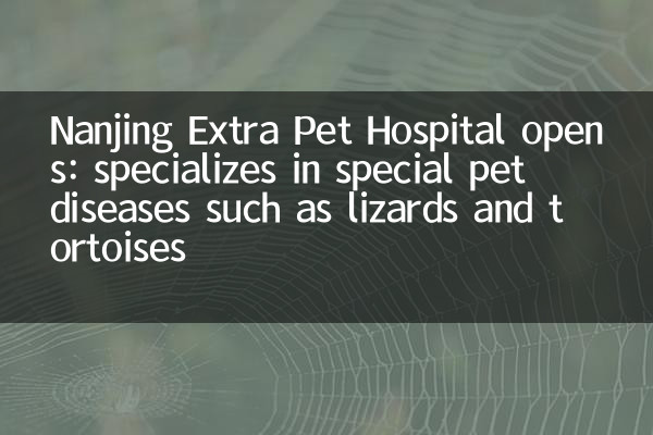 Nanjing Extra Pet Hospital Abre: Especializada em doenças especiais de animais de estimação, como lagartos e tartarugas